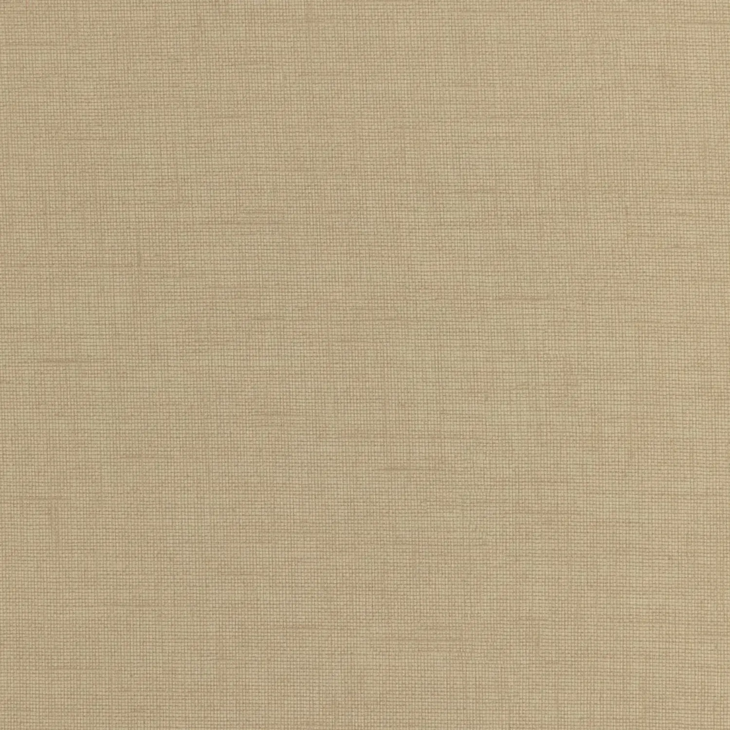 M28 LINO MADEMEL
