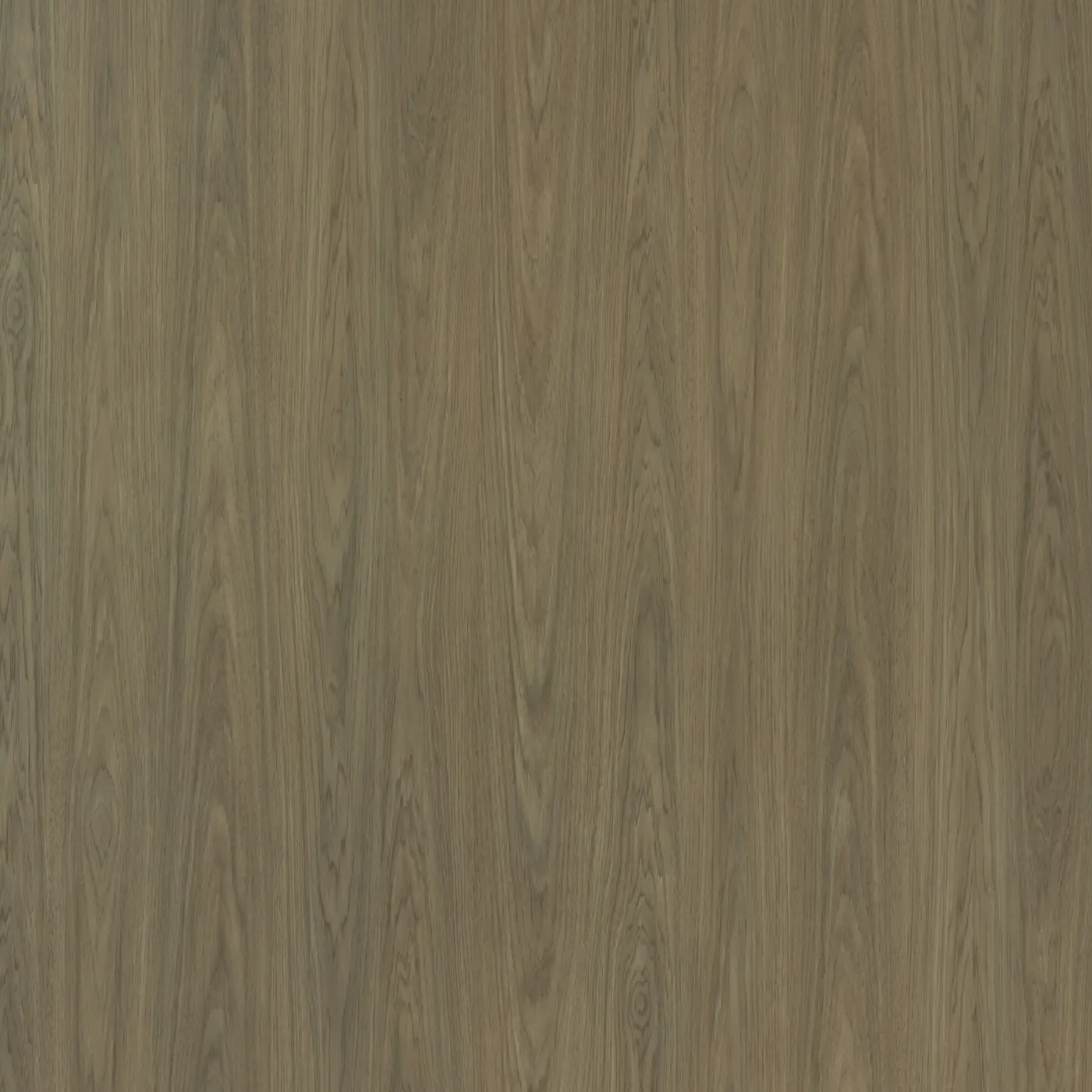 M31 Earth Walnut