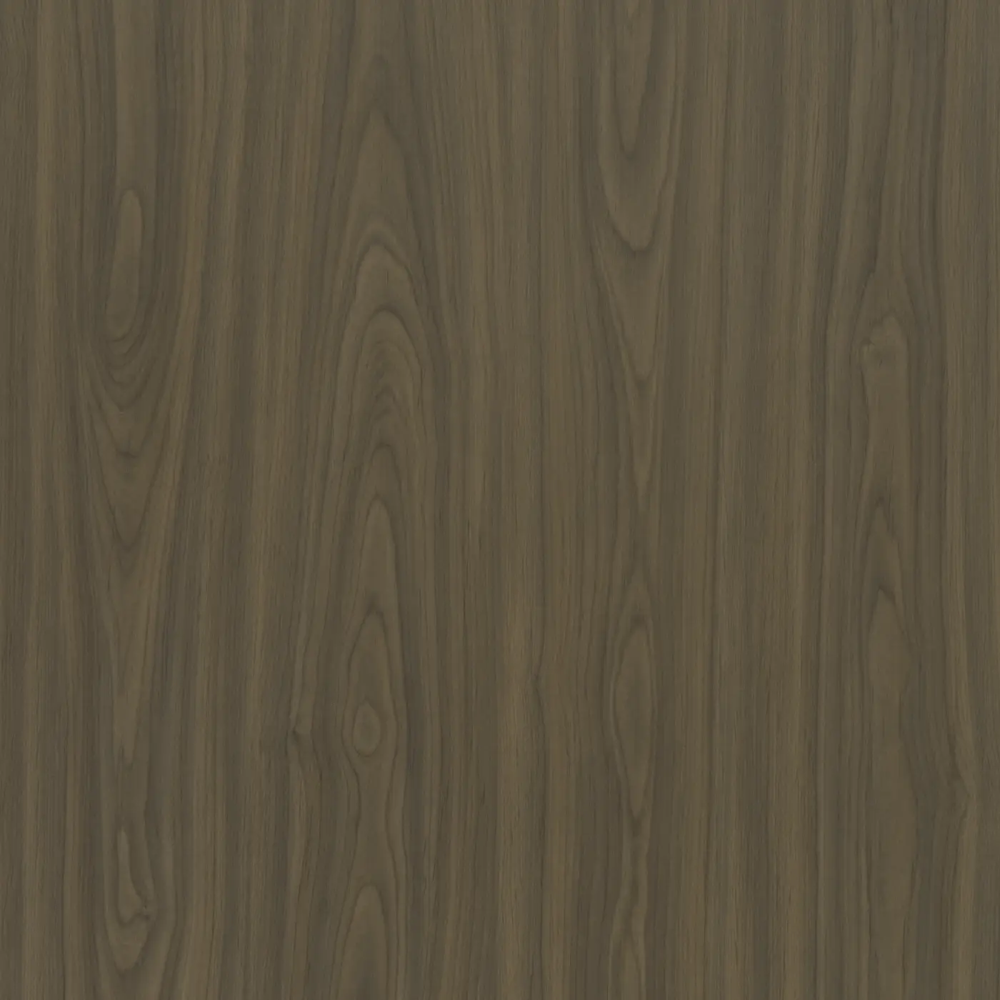 M31 Earth Walnut