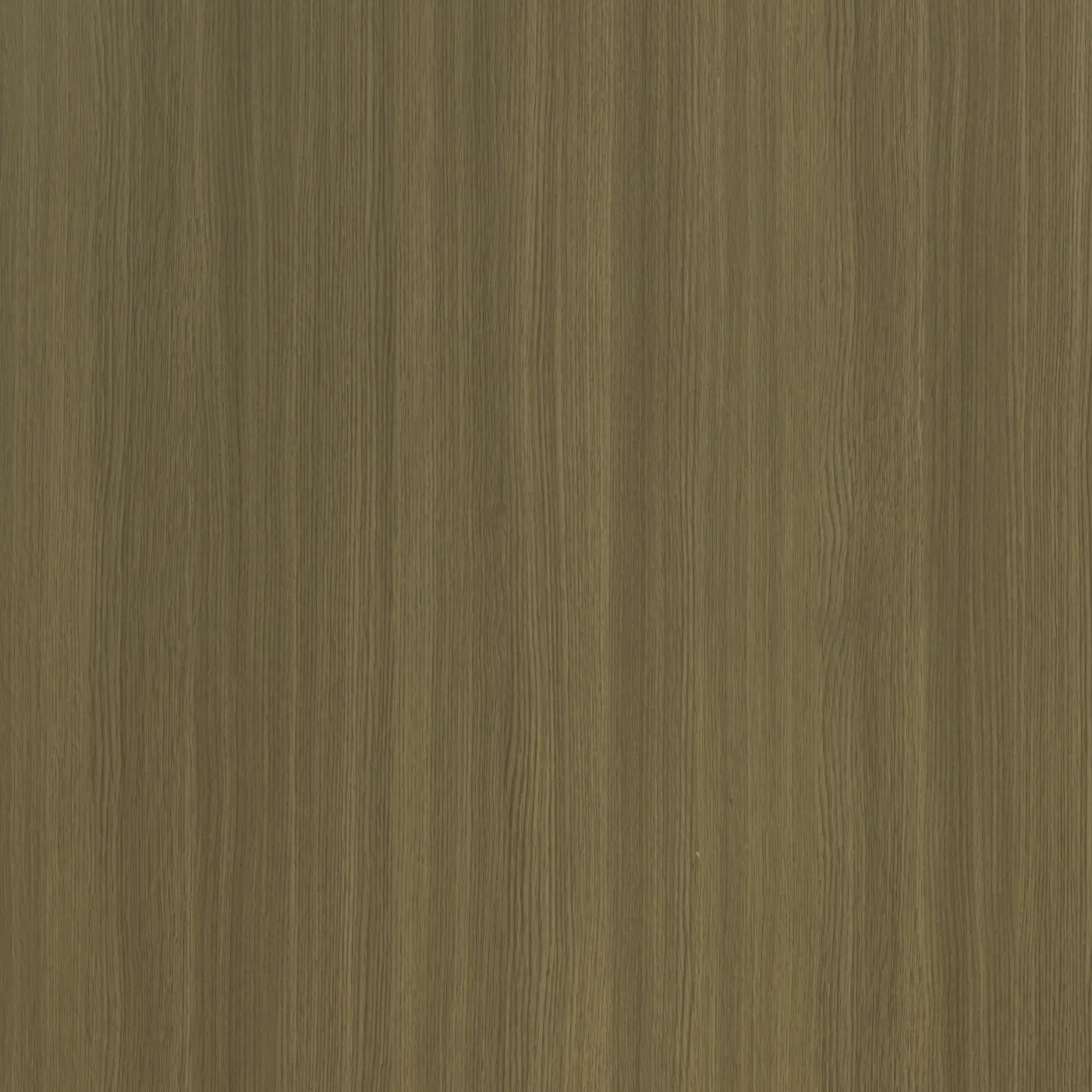 M38 Steppe Oak