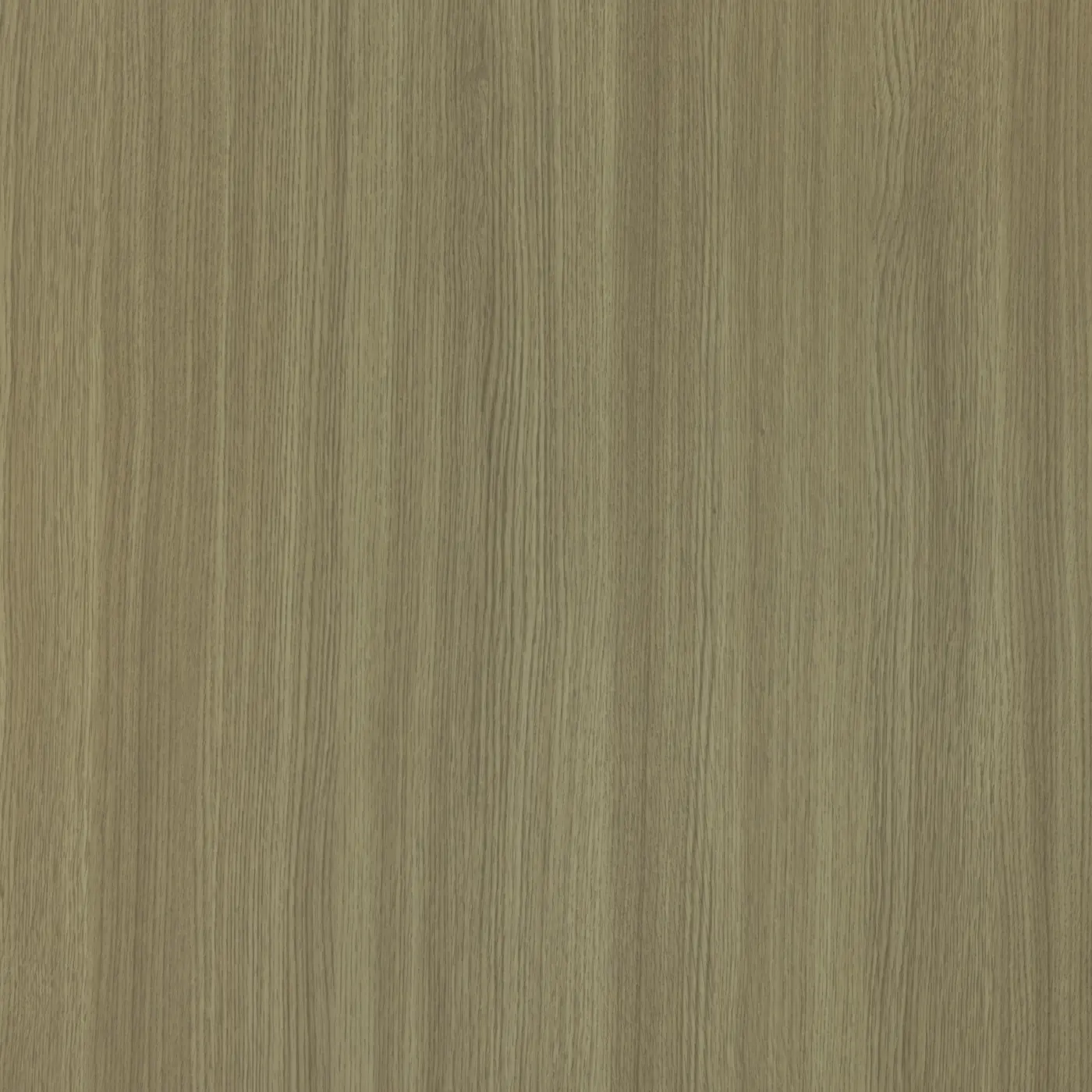 M41 Pampa Oak