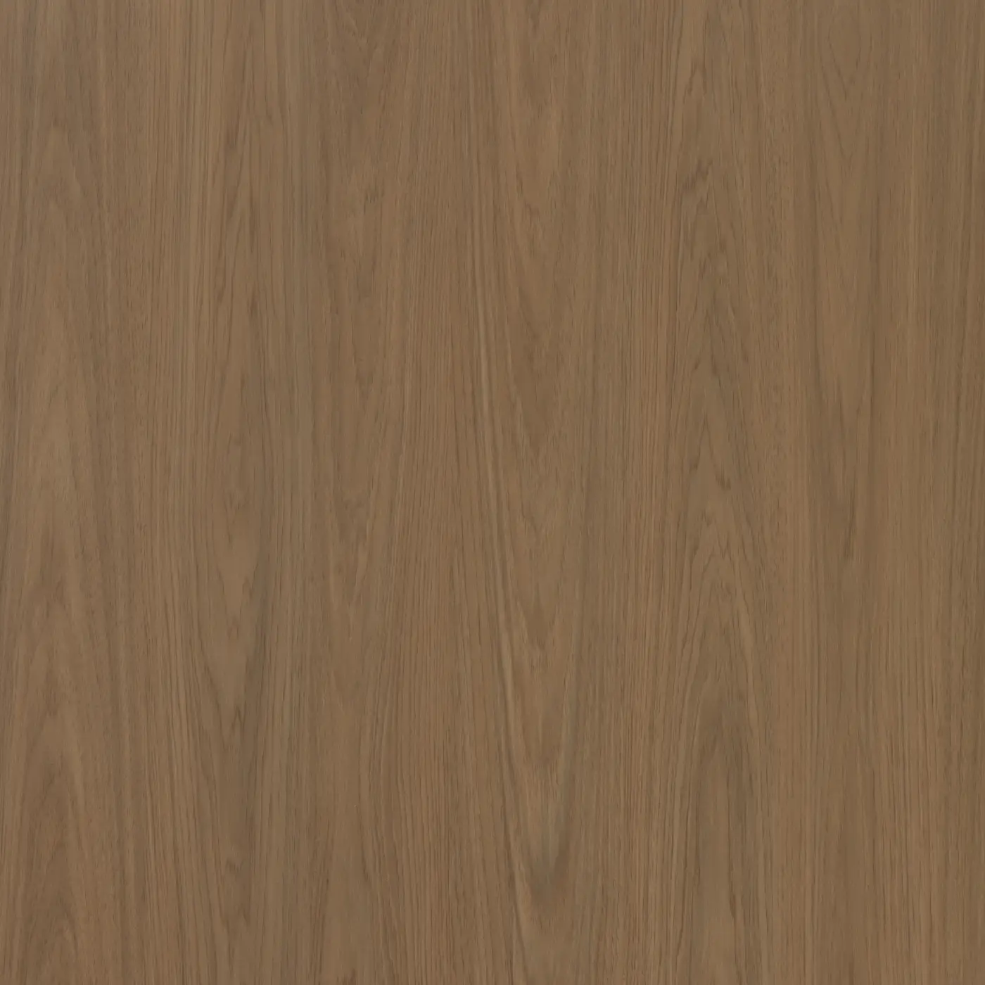 M31 Earth Walnut