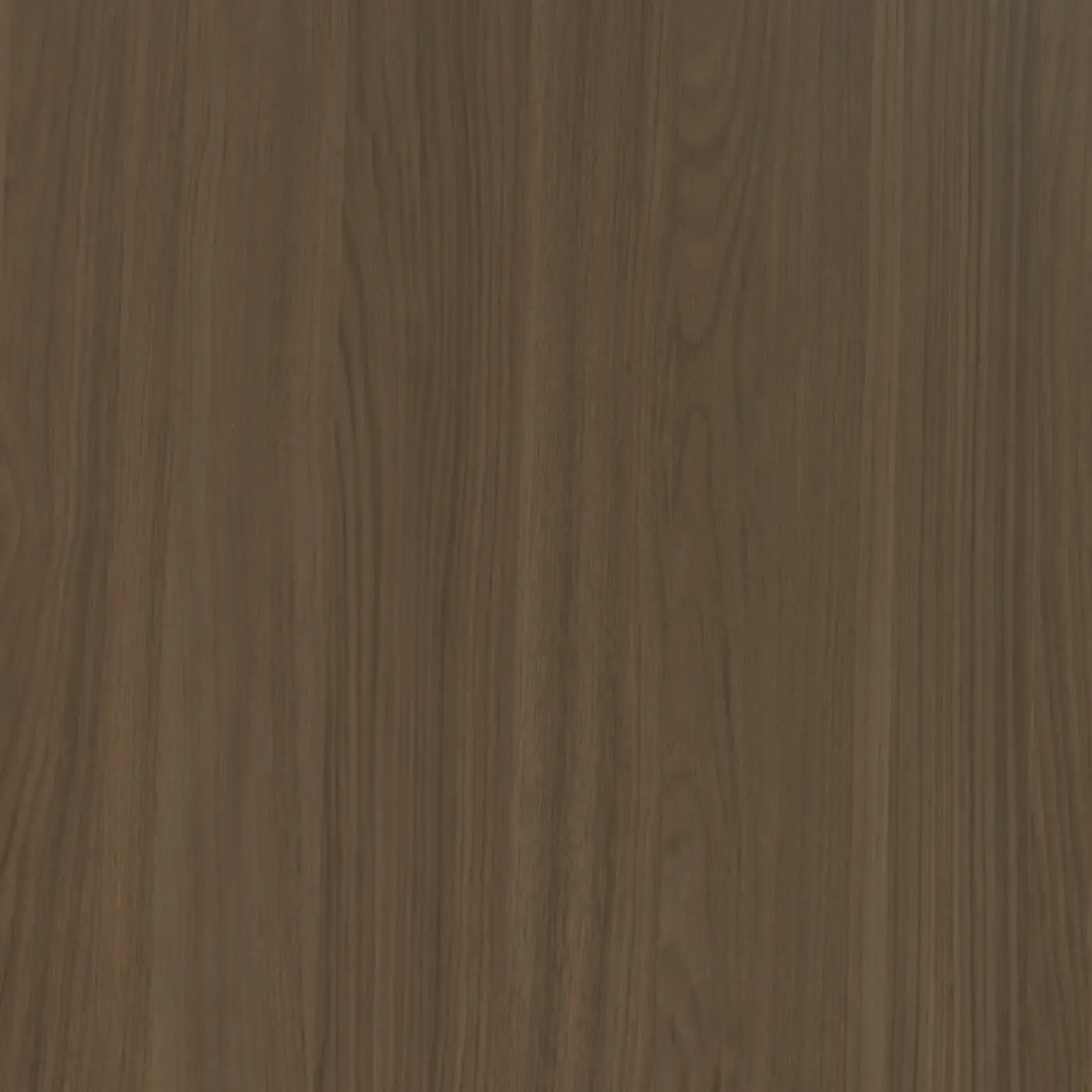 M41 Pampa Oak